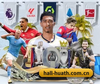 hall-huath.com.cn APP（hth）